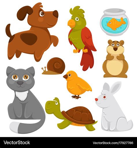 Picture Of Pets Cartoon - PetsWall