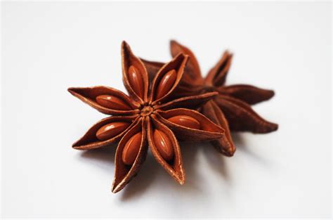 The Spice Cabinet: Star anise - Casa Mia Tours