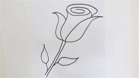 How To Draw A Rose With Pencil Easy For Kids