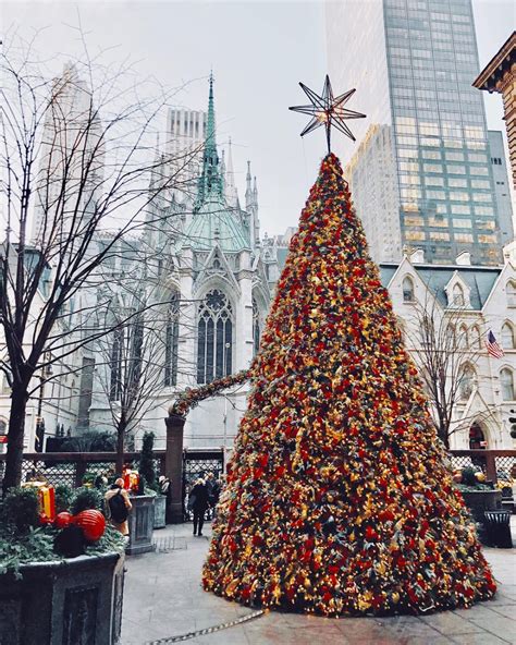 How many of the best Christmas trees in NYC have you seen? Sure, there ...