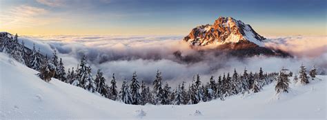 Mountains with snow and tress, winter, trees, landscape, mountains HD ...