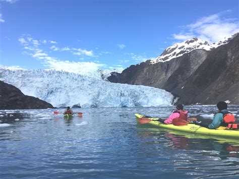 Fox Island Tours - Sunny Cove - Kayaking, Hiking, Wildlife & Glacier Cruises - Seward, Alaska ...