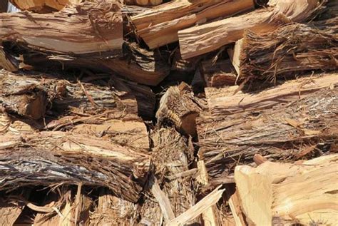 Types Of Firewood – A Simple Guide To Burning The Right Fuel