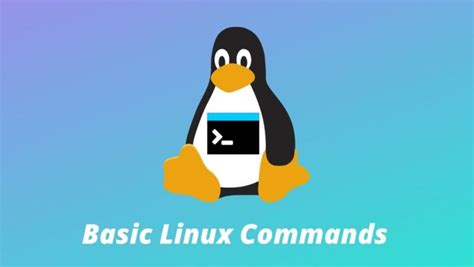 30 Basic Linux Commands For Beginners [Linux 101]