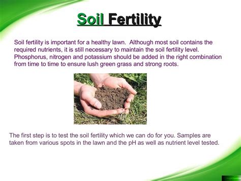 How To Improve Fertility Of Soil