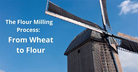 The Flour Milling Process: From Wheat to Flour | Living Whole