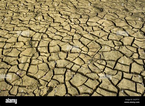 Cracked dry earth with cracks texture Stock Photo - Alamy