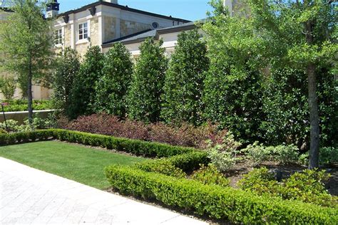 Planting a Privacy Screen - Landscaping Network