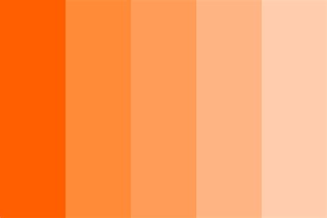 All About Color Apricot (Color Codes, Meaning and Pairings ...