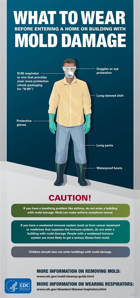 Mold-Clean-Up-Tips-and-What-To-Wear(CDC) | Dry Ease