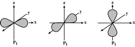 Describe the Shape of a P Orbital.