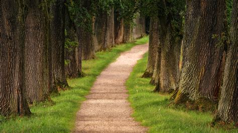 Pathway Wallpapers - Top Free Pathway Backgrounds - WallpaperAccess