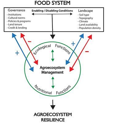 Frontiers | Ecological and Nutritional Functions of Agroecosystems as Indicators of Smallholder ...