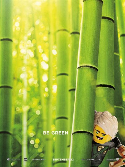 LEGO Ninjago Movie Lloyd poster | Lloyd, the Green Ninja: As… | Flickr