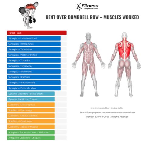 How To Do Bent Over Dumbbell Row | Muscles Worked And Benefits