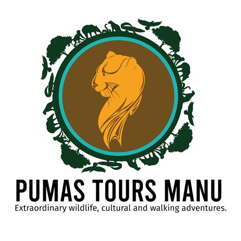 Modern Villa - Pumas Tours Manu