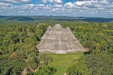 Caracol Belize Mayan Ruins – TOP 10 tour! | UpClose Belize Tours