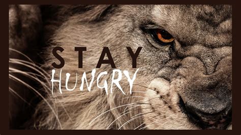 817 Wallpaper Lion Quotes free Download - MyWeb