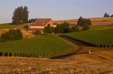 30 years of Domaine Drouhin Oregon - Decanter