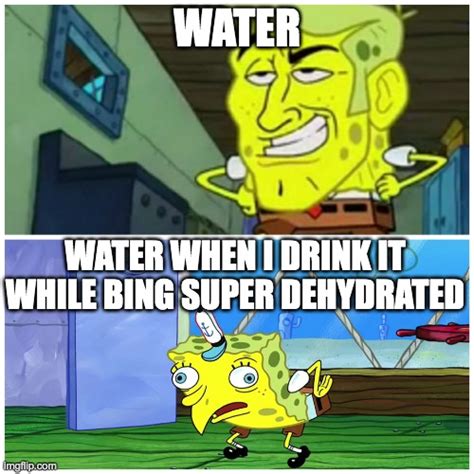 Basically water in a nutshell - Imgflip