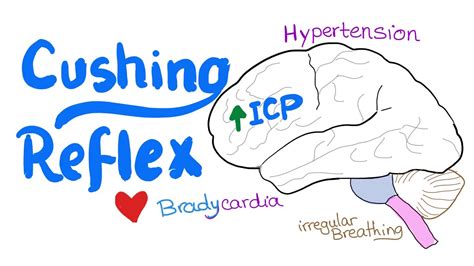 Cushing Reflex - Cushing Triad - Intracranial Hypertension - Emergency ...