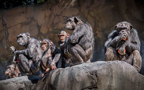 Los Angeles Zoo History - Los Angeles Zoo and Botanical Gardens