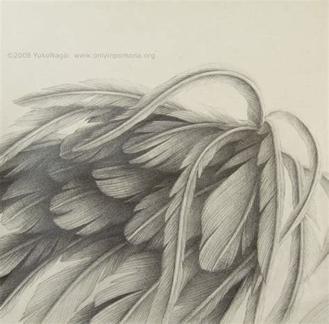 realistic angel wings drawing - Google Search | Wings drawing, Angel wings drawing, Wings sketch