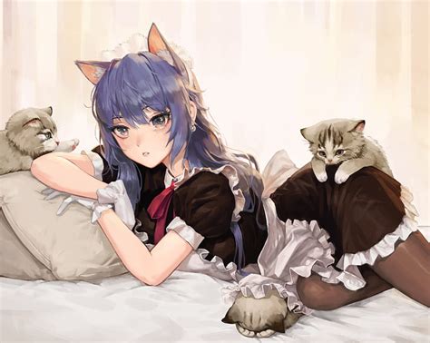 Aggregate more than 80 cat maid anime super hot - in.coedo.com.vn