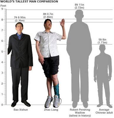 worldamazingnews: Is 8ft Zhao Liang The World's Tallest Man?