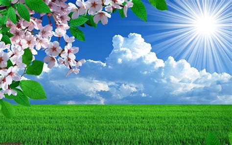 Spring Flowers Scenery Wallpapers - 4k, HD Spring Flowers Scenery Backgrounds on WallpaperBat