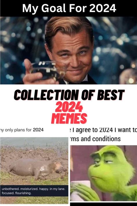 Assortment of the Finest 2024 MEMES - Untoldjob