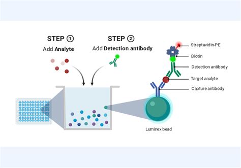 Luminex Assay | BioRender Science Templates