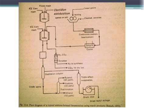 Acetone and butanol fermentation