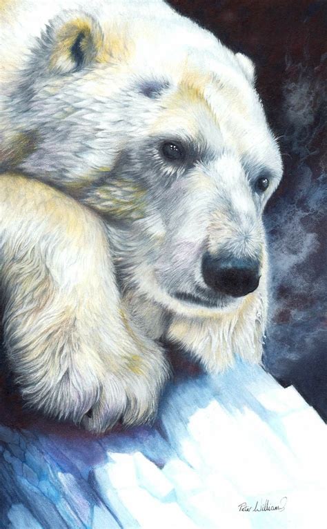 Pin by Allyson Prahl on Pencil Art | Wildlife drawings, Art, Wildlife ...