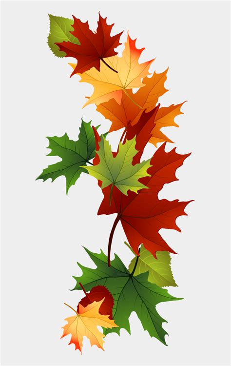 Leaf Fall Leaves Clip Art Beautiful Autumn Clipart - Maple Leaf ...