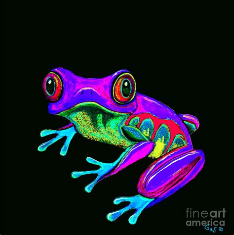 Rainbow Frog by Nick Gustafson