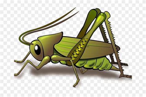 Cricket Insect Clipart Free