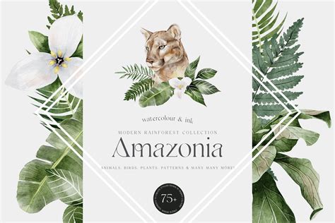 Watercolor Rainforest Collection | Animal Illustrations ~ Creative Market