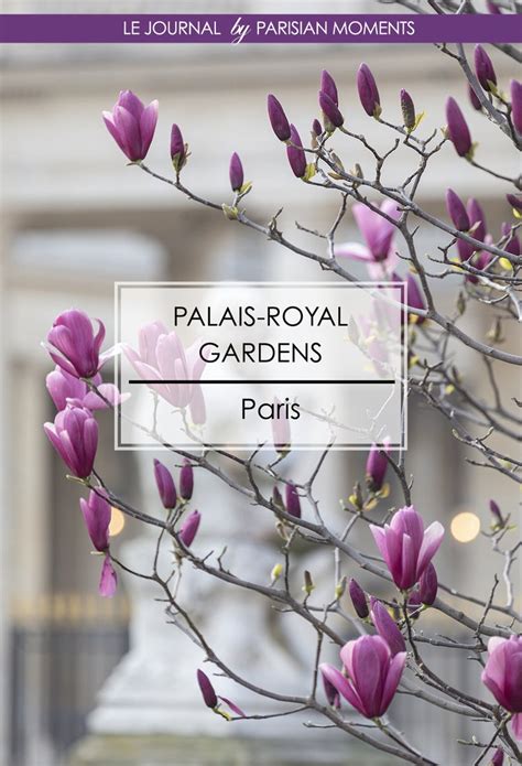 Palais Royal Gardens — Parisian Moments