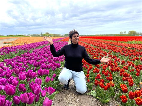 Netherlands Trip Itinerary: Amsterdam, Haarlem and beautiful Tulip fields in the countryside ...