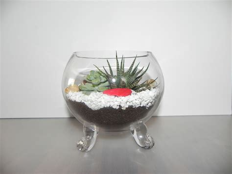 Succulent Arrangement in Large Terrarium or Glass Bowl - Succulent Gift