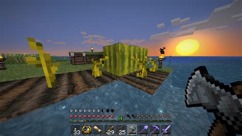 Here is a picture of a melon grown by two stems. : Minecraft