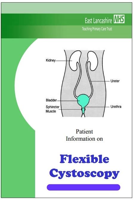 Flexible Cystoscopy | Easy Health