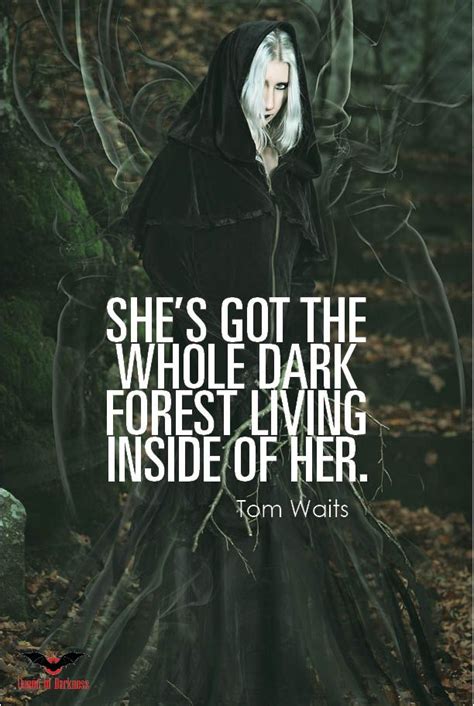 Nicely said! | Gothic quotes, Dark forest, Bitchyness quotes