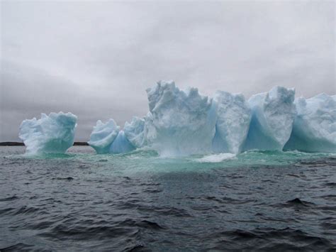 Experiencing Newfoundland's Iceberg Alley - The Thousand Miler