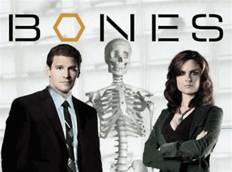 Bones Season 13: Confirmed Or Canceled? | Trending News Buzz