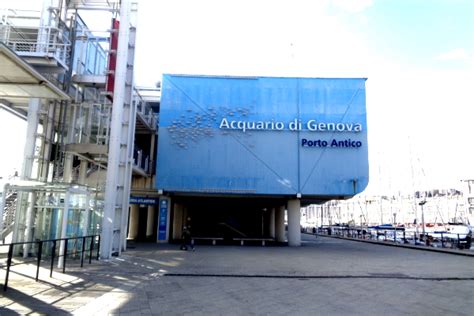 Genoa Aquarium: all info for visitors, tickets, important animals