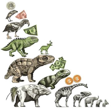 Evolution Money Infographic, Bank, Card, Coin PNG Transparent Image and Clipart for Free Download