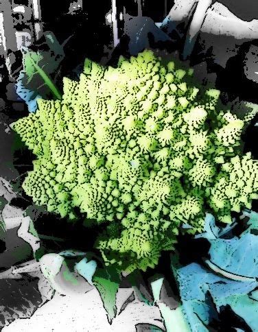Unusual vegetables ready to be rediscovered | Vegetables, Unusual, Broccoli