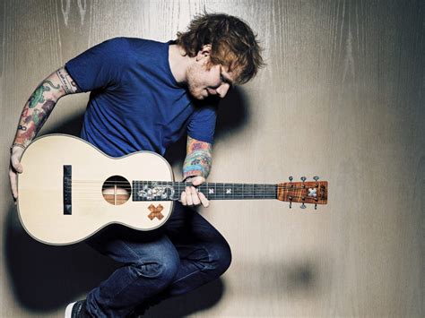 Ed Sheeran's Guitar - Horniman Museum and Gardens